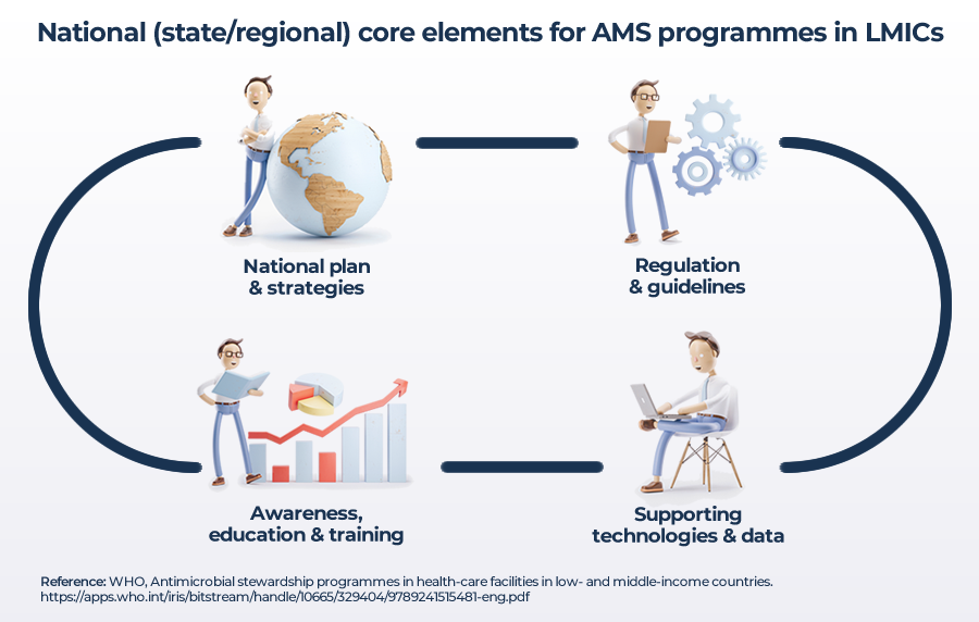 National core elements for AMS programmes in LMICs