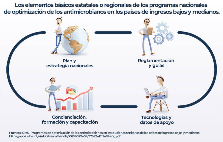 National core elements for AMS programmes in LMICs