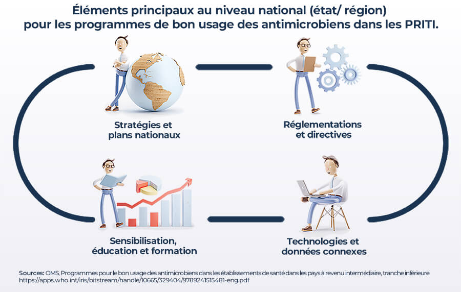 National core elements for AMS programmes in LMICs